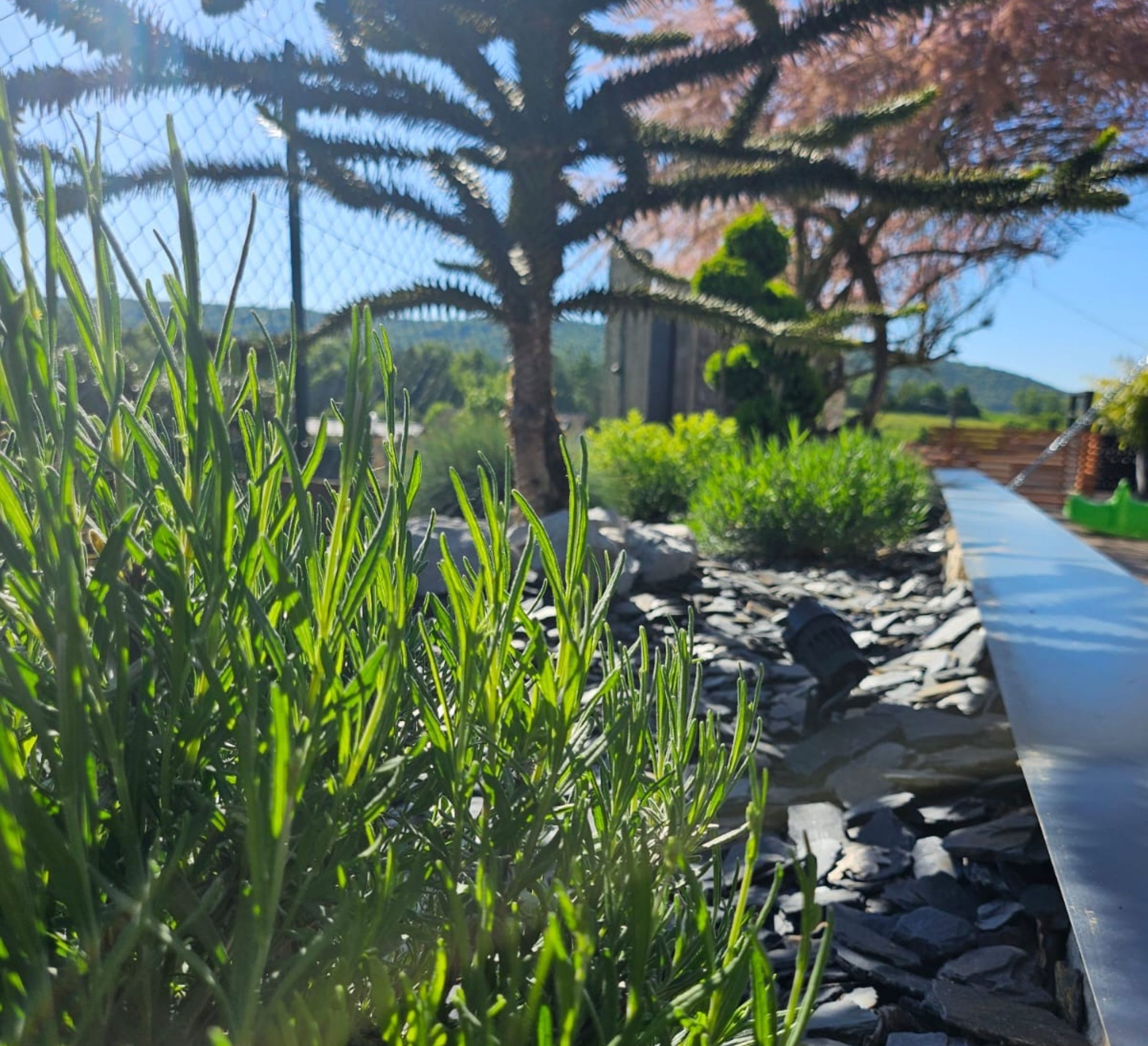 aménagement paysager - Bois&Deisgn